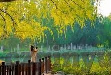 91视频麻豆在线观看-浅探网络背后的多元世界，91视频与麻豆的视界