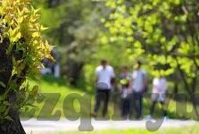 大象传媒短视频APP下载-探索大象传媒短视频APP，解锁娱乐新视界