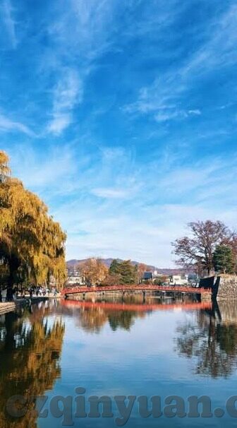 果冻传媒官方入口-果-探索果冻传媒官方入口的多元化魅力