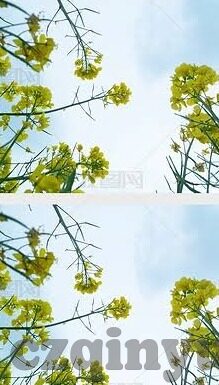 麻豆91短视频-麻豆91短视频现象下的社会反思