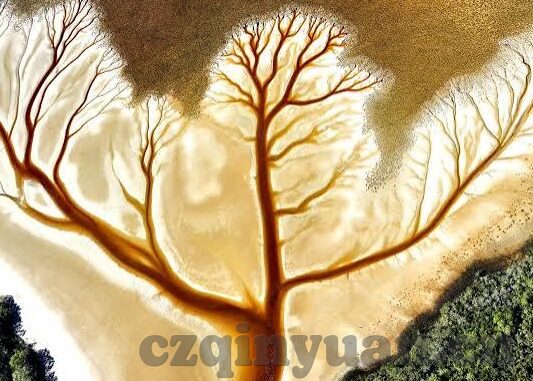 牛牛成人永久免费视频-牛牛成人永久免费视频，网络时代的娱乐新选择