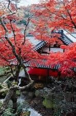 人妻斩在线-探寻人妻斩在线背后的社会与心理镜像
