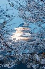 日韩av人妻毛片有码-日韩AV人妻题材的影视内容与文化现象分析
