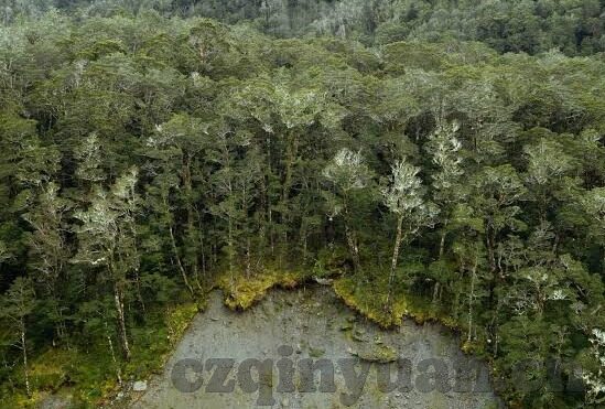 糖心app地址-轻松网上冲浪—解锁糖心app的安全浏览秘籍