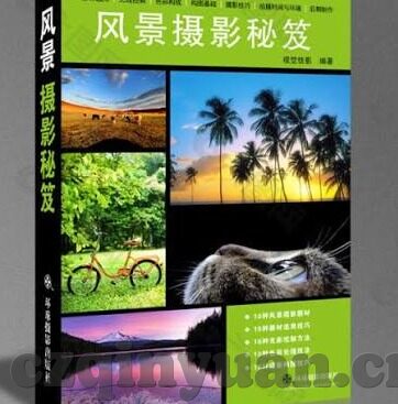 天天日麻豆av-天天日麻豆AV，数字化娱乐的新风尚与文化探讨