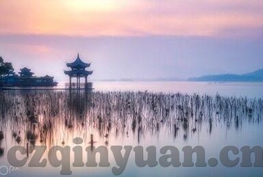 亚洲最大成人在线视频-亚洲网络文化新视角，成人内容平台的多元化与影响