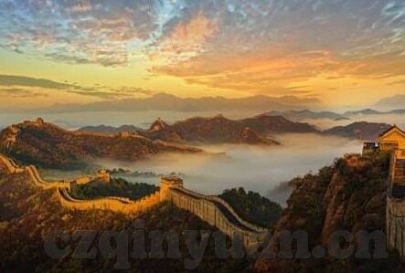 在线视频播放免费麻豆-探索免费在线视频播放在线平台——麻豆